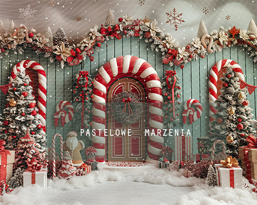 Fabric photographic backdrop from the Christmas category, Frame 250x200 cm