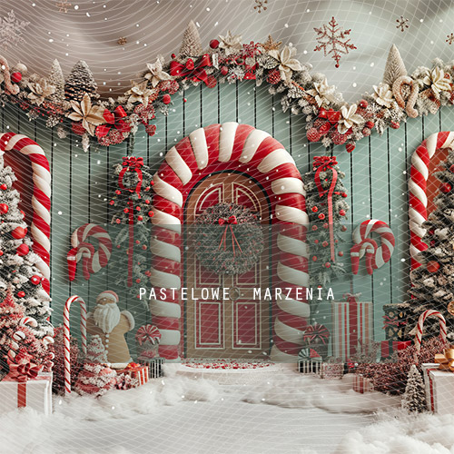 Fabric photographic backdrop from the Christmas category, Frame 250x250 cm