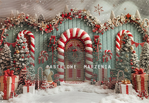 Fabric photographic backdrop from the Christmas category, Frame 290x200 cm