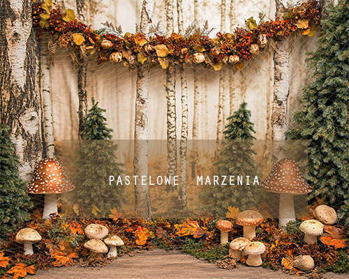 Fabric photographic backdrop from the Autumn category, Frame 250x200 cm