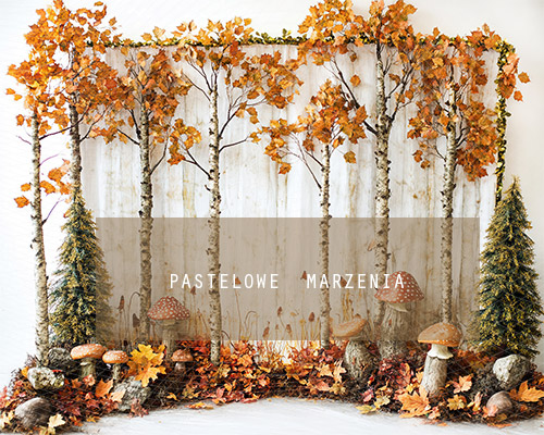 Fabric photographic backdrop from the Autumn category, Frame 250x200 cm