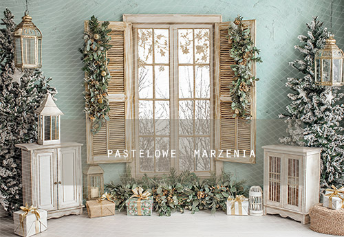 Fabric photographic backdrop from the Christmas category, Frame 290x200 cm