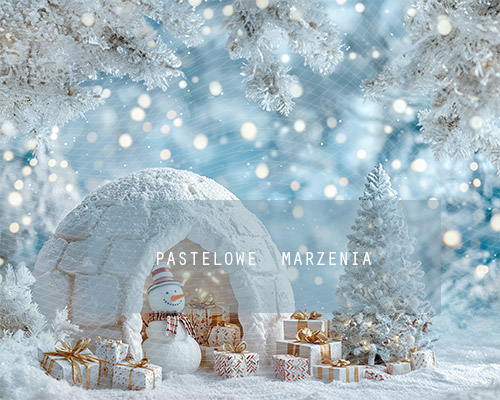 Fabric photographic backdrop from the Christmas category, Frame 250x200 cm