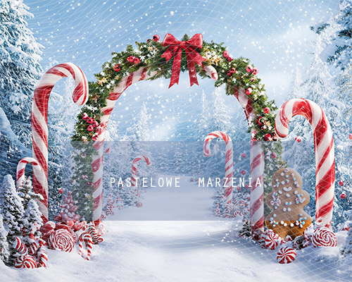 Fabric photographic backdrop from the Christmas category, Frame 250x200 cm