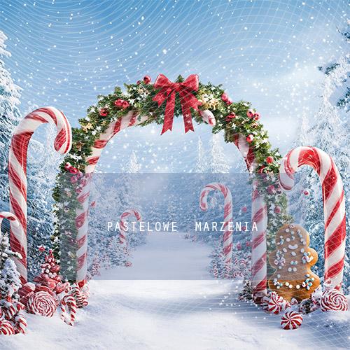 Fabric photographic backdrop from the Christmas category, Frame 250x250 cm