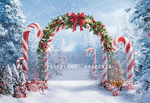 Fabric photographic backdrop from the Christmas category, Frame 290x200 cm