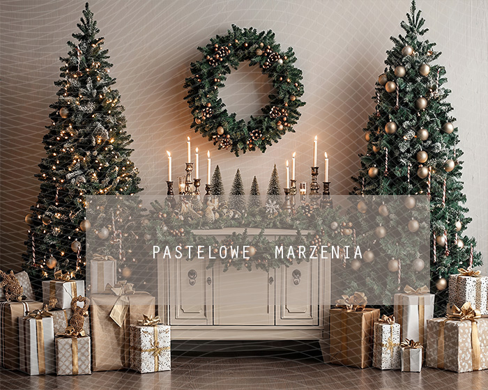 Fabric photographic backdrop from the Christmas category, Frame 250x200 cm