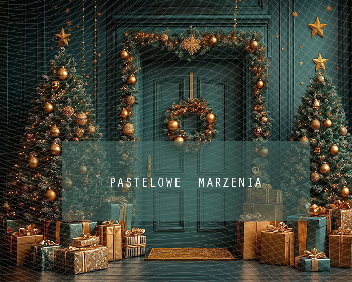 Fabric photographic backdrop from the Christmas category, Frame 250x200 cm