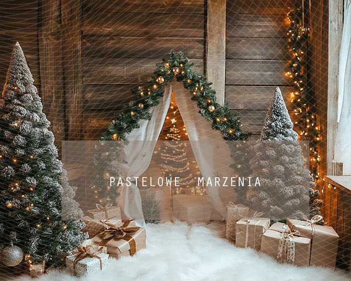 Fabric photographic backdrop from the Christmas category, Frame 250x200 cm