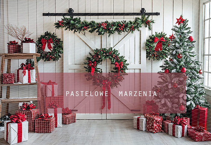 Fabric photographic backdrop from the Christmas category, Frame 290x200 cm