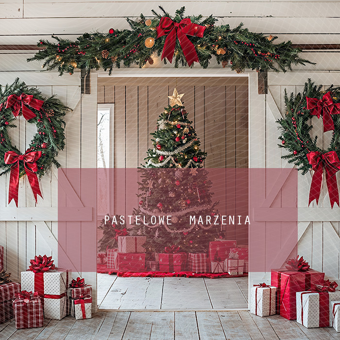 Fabric photographic backdrop from the Christmas category, Frame 250x250 cm