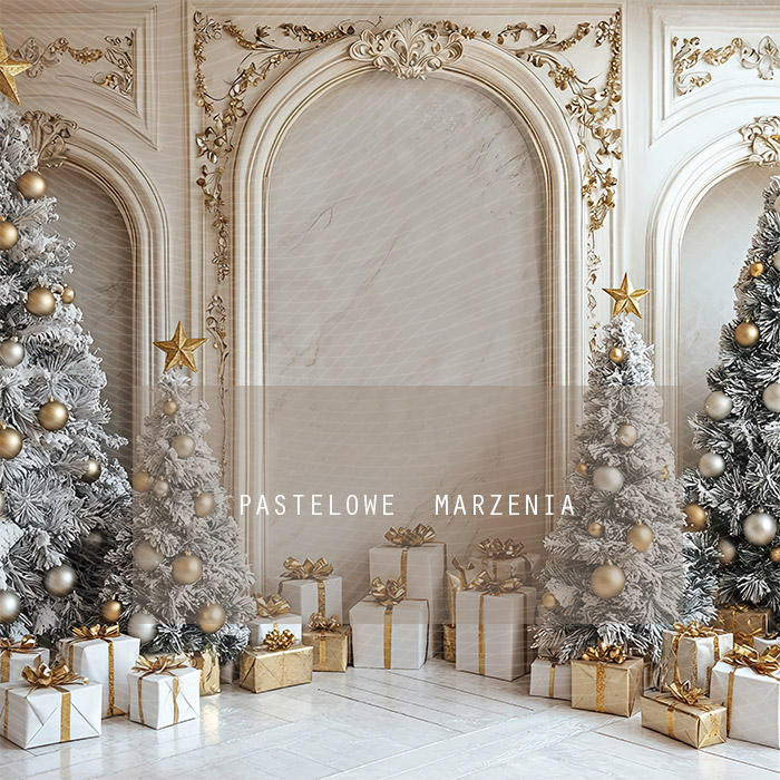 Fabric photographic backdrop from the Christmas category, Frame 250x250 cm