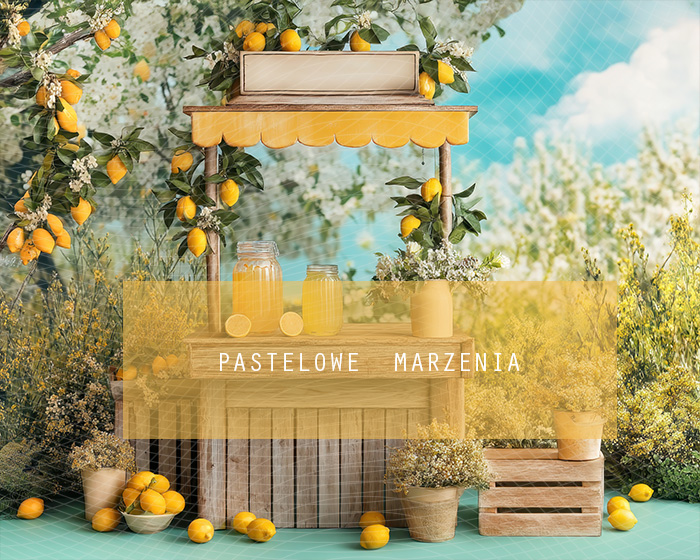 Fabric photographic backdrop from the Summer category, Frame 250x200 cm