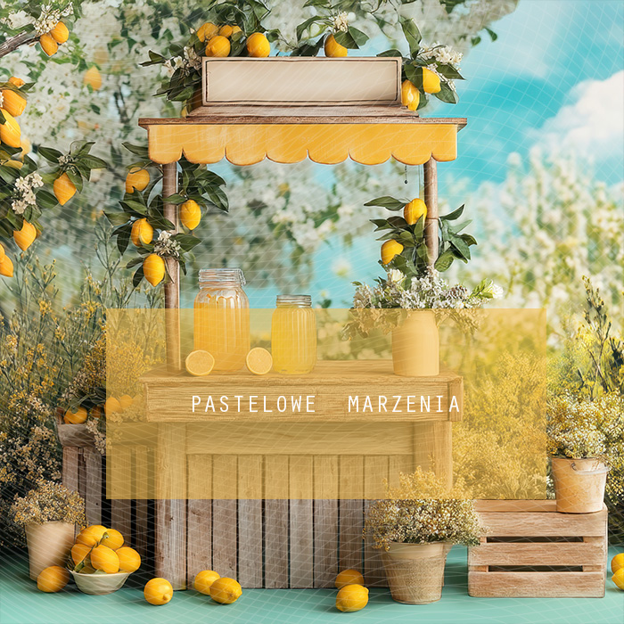 Fabric photographic backdrop from the Summer category, Frame 250x250 cm