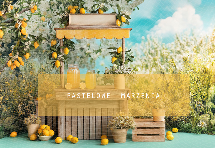 Fabric photographic backdrop from the Summer category, Frame 290x200 cm