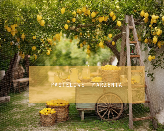 Tło fotograficzne materiałowe z kategorii Lato, Kadr 250x200 cm
