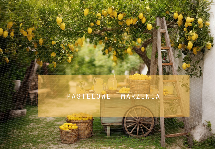 Tło fotograficzne materiałowe z kategorii Lato, Kadr 250x200 cm