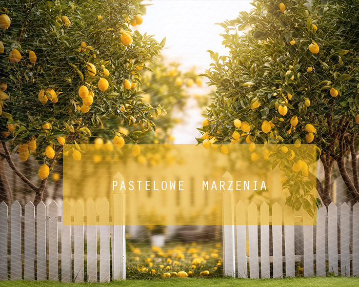 Tło fotograficzne materiałowe z kategorii Lato, Kadr 250x200 cm