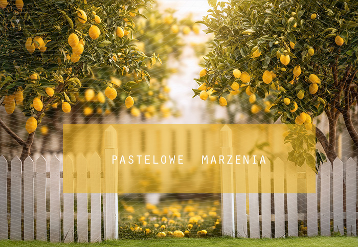 Tło fotograficzne materiałowe z kategorii Lato, Kadr 250x200 cm
