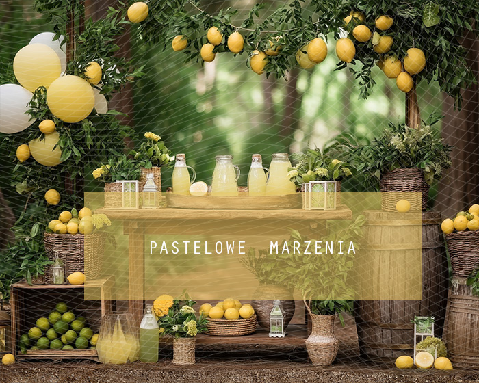 Tło fotograficzne materiałowe z kategorii Lato, Kadr 250x200 cm