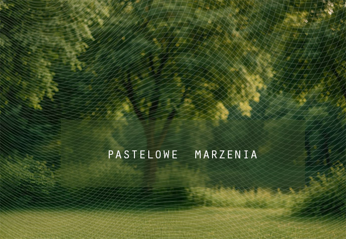 Fabric photographic backdrop from the Spring category, Frame 290x200 cm
