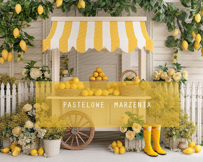 Tło fotograficzne materiałowe z kategorii Lato, Kadr 250x200 cm