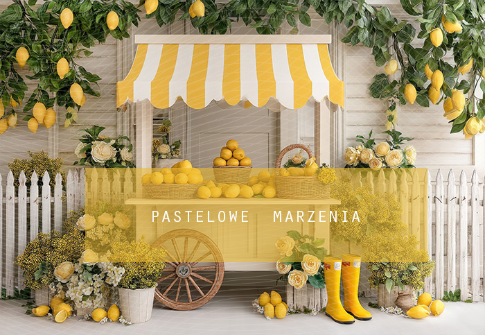 Tło fotograficzne materiałowe z kategorii Lato, Kadr 250x200 cm