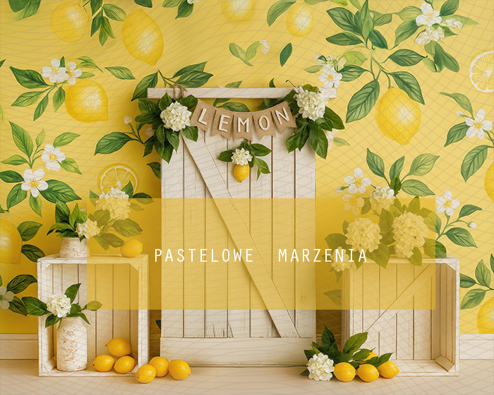 Fabric photographic backdrop from the Summer category, Frame 250x200 cm