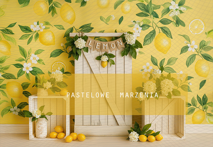 Fabric photographic backdrop from the Summer category, Frame 290x200 cm