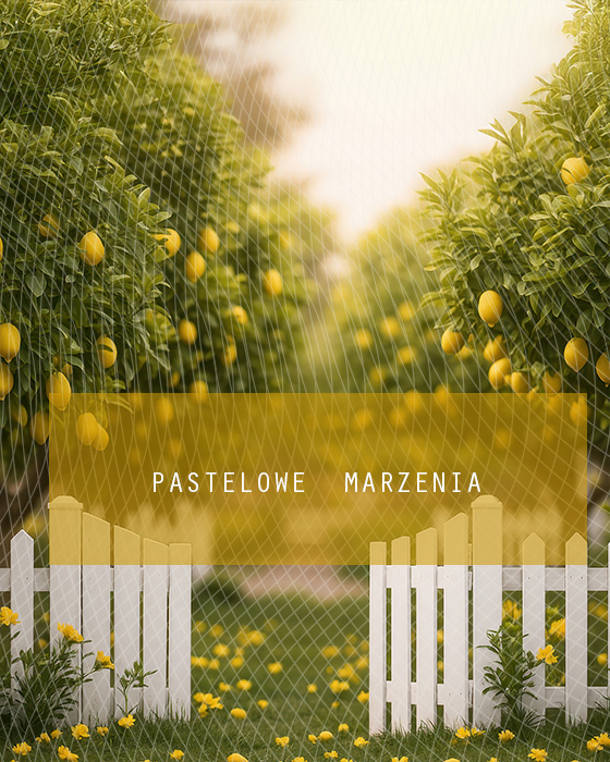 Tło fotograficzne materiałowe z kategorii Lato, Kadr 200x250 cm