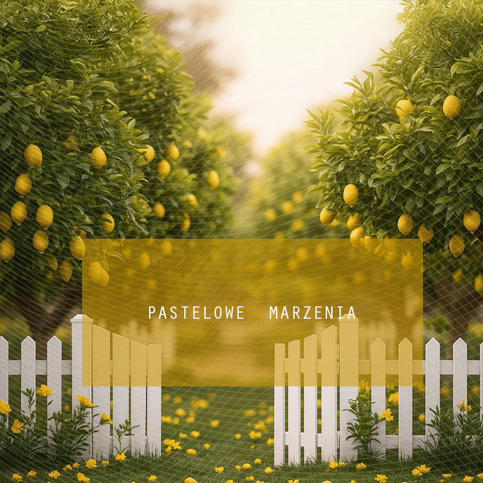 Tło fotograficzne materiałowe z kategorii Lato, Kadr 250x250 cm