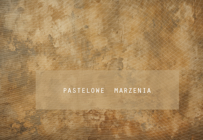 Tło fotograficzne materiałowe z kategorii Ściany, Kadr 290x200 cm