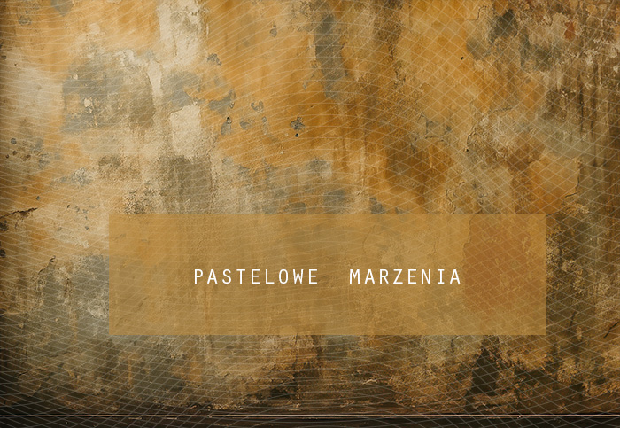 Tło fotograficzne materiałowe z kategorii Ściany, Kadr 290x200 cm