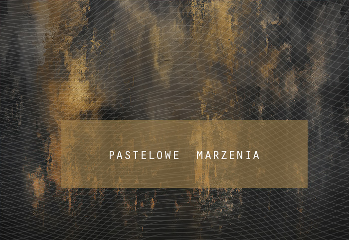 Fabric photographic backdrop from the walls category, Frame 290x200 cm