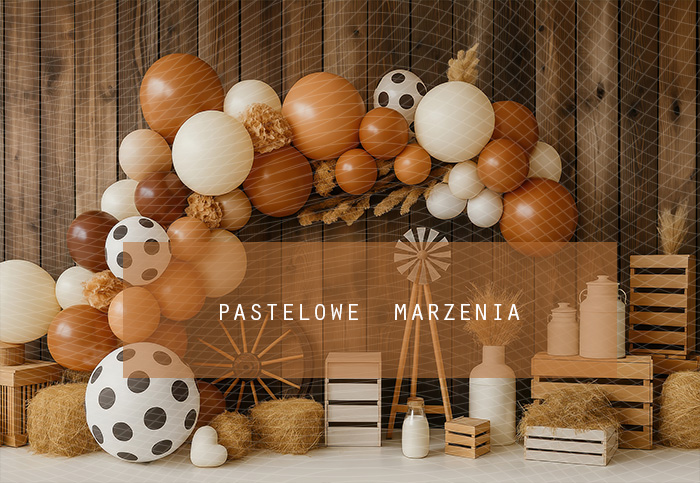 Fabric photographic backdrop from the Birthdays category, Frame 290x200 cm