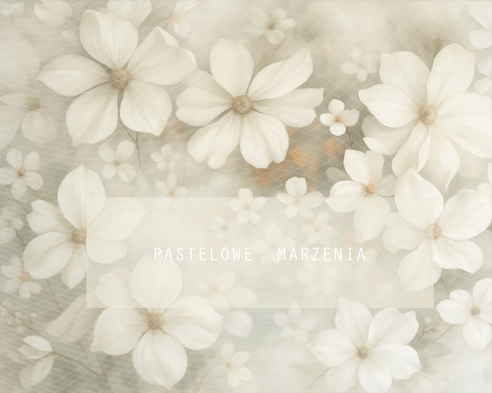 Fabric photographic backdrop from the walls category, Frame 250x200 cm