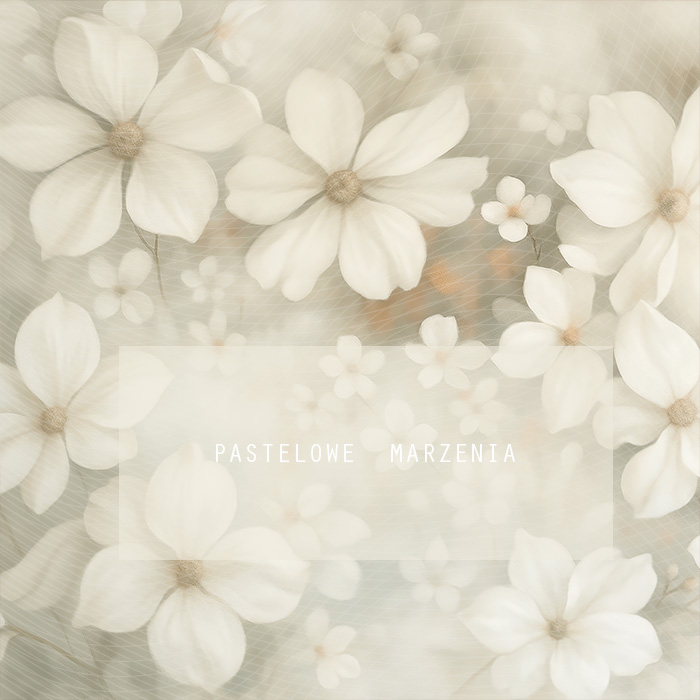 Fabric photographic backdrop from the walls category, Frame 250x250 cm