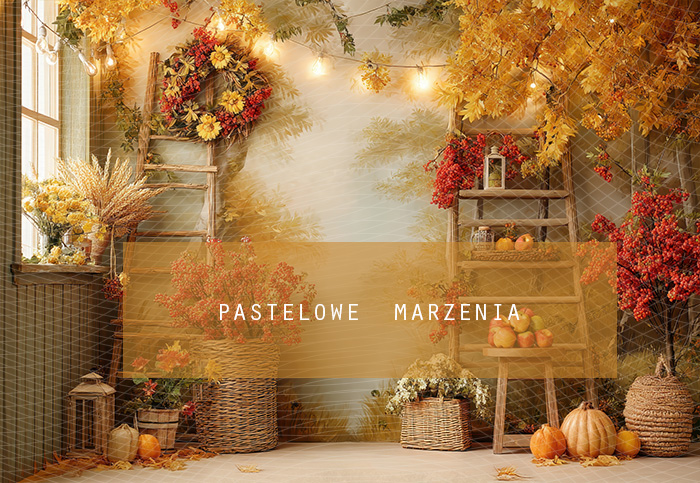 Fabric photographic backdrop from the Autumn category, Frame 290x200 cm