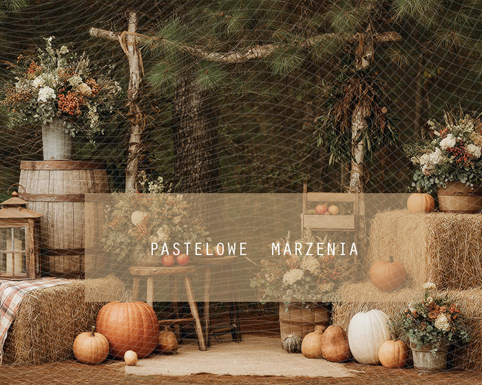 Fabric photographic backdrop from the Autumn category, Frame 250x200 cm