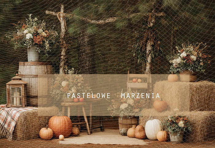 Fabric photographic backdrop from the Autumn category, Frame 290x200 cm