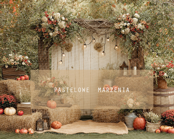 Fabric photographic backdrop from the Autumn category, Frame 250x200 cm