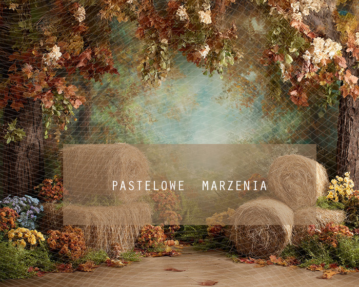 Fabric photographic backdrop from the Autumn category, Frame 250x200 cm