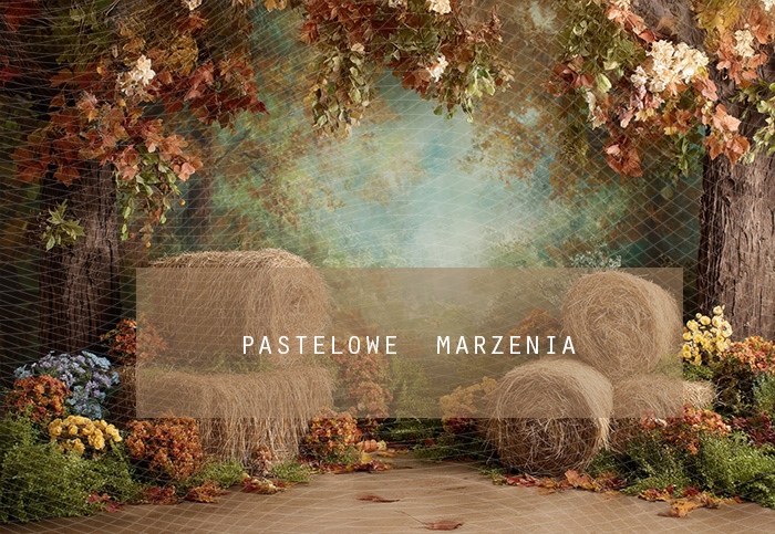 Fabric photographic backdrop from the Autumn category, Frame 290x200 cm