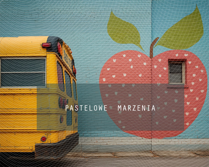 Tło fotograficzne materiałowe z kategorii Szkoła, Kadr 250x200 cm