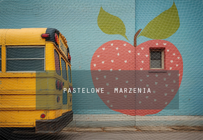 Tło fotograficzne materiałowe z kategorii Szkoła, Kadr 290x200 cm