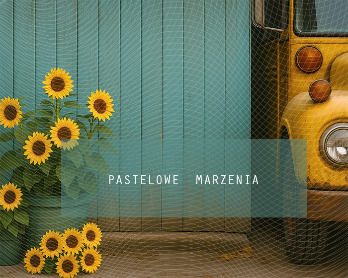 Tło fotograficzne materiałowe z kategorii Szkoła, Kadr 250x200 cm