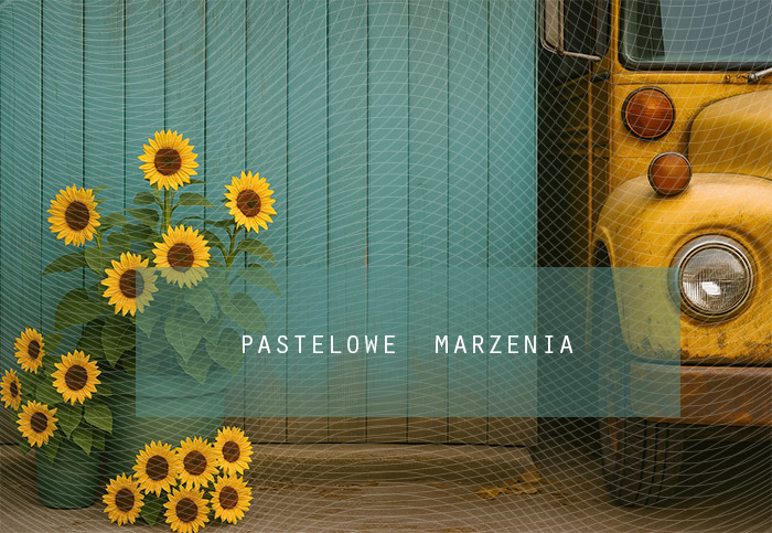 Tło fotograficzne materiałowe z kategorii Szkoła, Kadr 290x200 cm