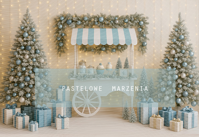 Fabric photographic backdrop from the Christmas category, Frame 290x200 cm