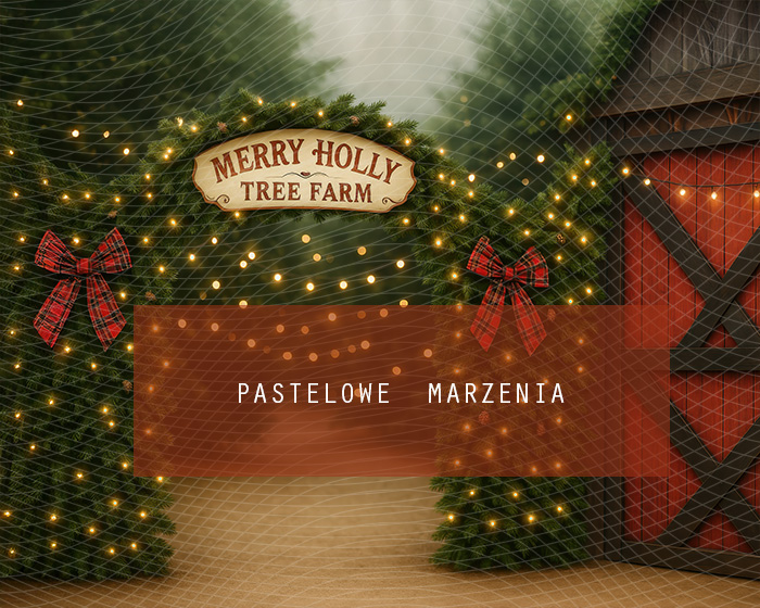 Fabric photographic backdrop from the Christmas category, Frame 250x200 cm