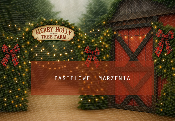 Fabric photographic backdrop from the Christmas category, Frame 290x200 cm